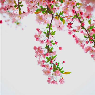 手游进攻之神正式版手机版下载
